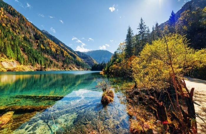 Khám Phá Vẻ Đẹp Top 5 Công Viê