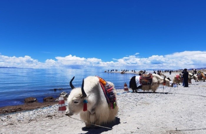 Hồ Namtso – Tuyệt Tác Thiên Nh