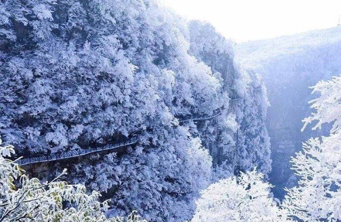 Top 5 Địa Điểm Du Lịch Mùa Đôn