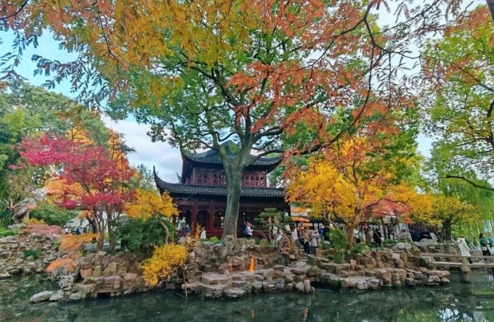 Mùa Thu Thượng Hải – Vẻ Đẹp Lã