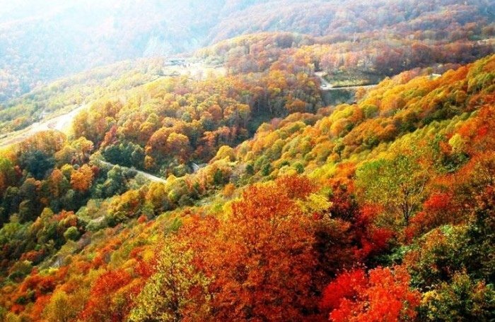 Tìm Hiểu Top Các Công Viên Nổi