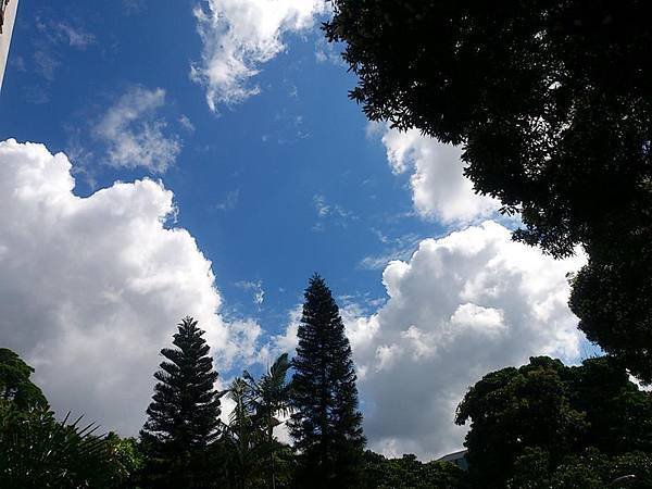 20140907(10