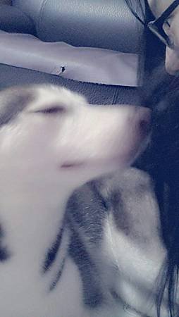 1353