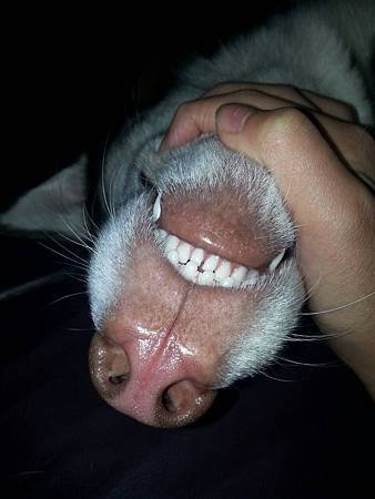 1375