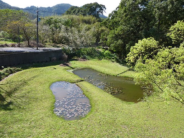 P1060516用餐點外的風景，小湖很像兩個腳Y.JPG