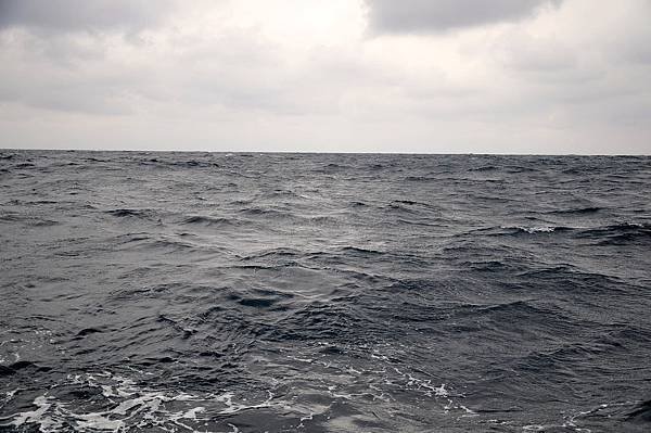 DSC_1451.JPG