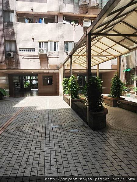 IMG20190721104401.jpg