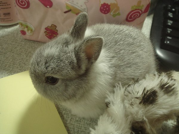 DSC03114.JPG