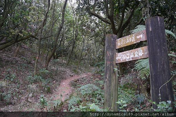 一路都走尾寮山步道，但似乎都相通