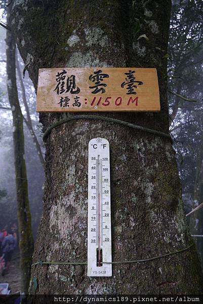 觀雲台，氣溫15度，其實整座山都有樹蔭遮避，很涼爽