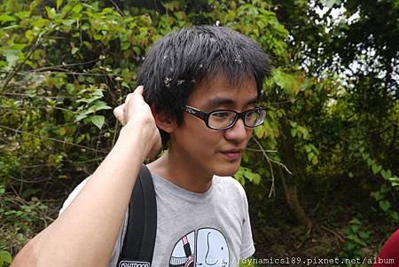 不知怎麼沾的