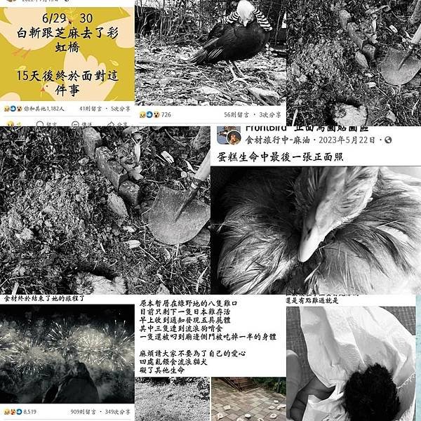 無良飼主吳承圃-死亡名單.jpg