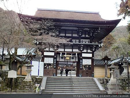 DSCF5232.JPG