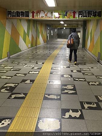 照片 823.jpg