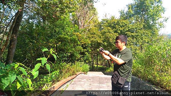 2020-10-18 台南關子嶺紅葉公園 (51).jpg