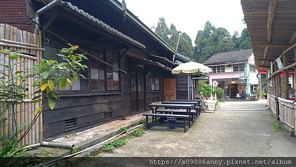 2020.11.21-22志同道合阿里山之旅 (16).jpg