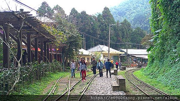 2020.11.21-22志同道合阿里山之旅 (19).jpg