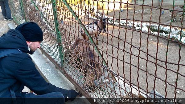 雅典小動物園 (8).jpg