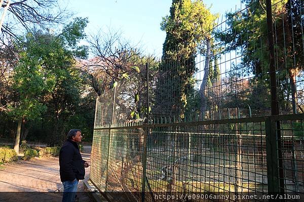 雅典小動物園 (5).jpg