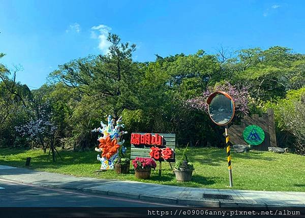 陽明山花季賞花再去天籟泡溫泉 (1).jpg