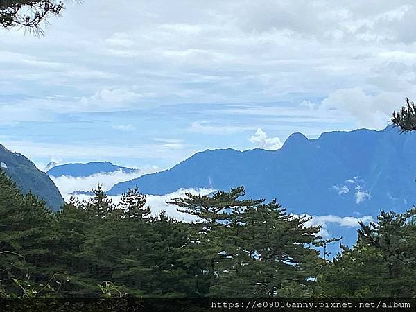 甜蜜CD家去武嶺.合歡尖山 (45).jpg