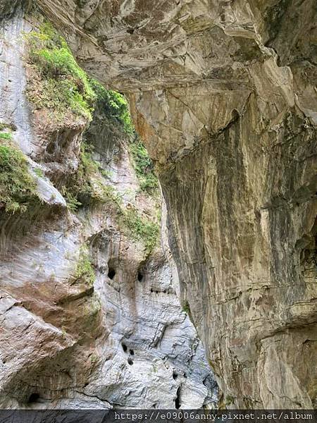 甜蜜CD家到太魯閣、燕子口、合流露營地、天祥吃明山餐廳午餐  (27).jpg