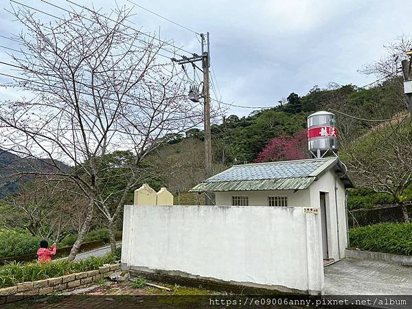 11201甜蜜CD家去台東太麻里山.金針山 (8).jpg