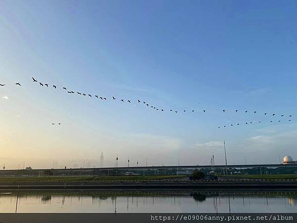 11202甜蜜CD家到美堤河濱公園 (15).jpg