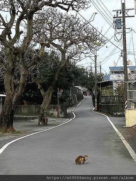 11203甜蜜CD加到萬里大鵬足湯車泊.再到中山溫泉公園 (43).jpg