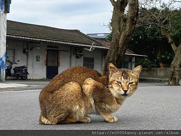 11203甜蜜CD加到萬里大鵬足湯車泊.再到中山溫泉公園 (44).jpg