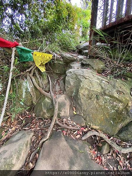 甜蜜CD家到三峽車泊走鳶山福德坑山小百岳 (32).jpg