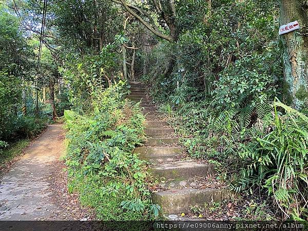 甜蜜CD家到三峽車泊走鳶山福德坑山小百岳 (31).jpg