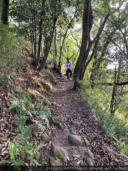 甜蜜CD家到三峽車泊走鳶山福德坑山小百岳 (47).jpg