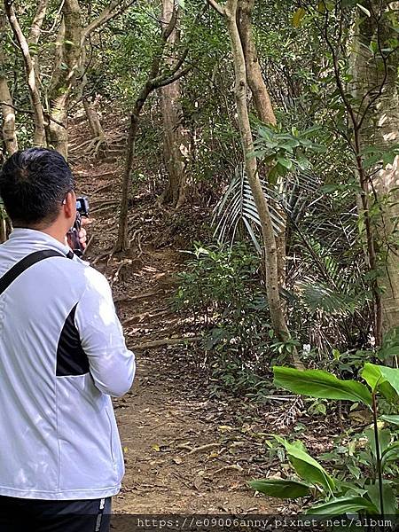 甜蜜CD家到三峽車泊走鳶山福德坑山小百岳 (55).jpg