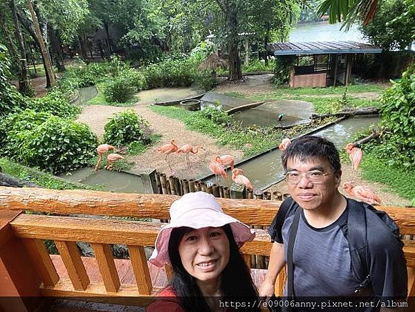 甜蜜CD家泰馬雙國三城之旅2023-07-03-17h13m54_副本.jpg