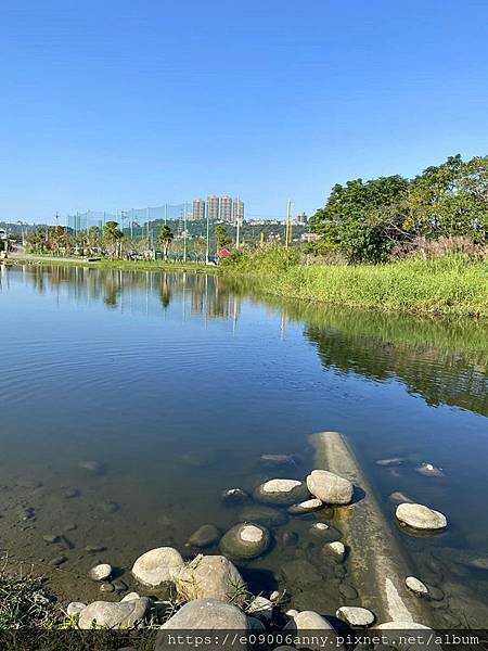 甜蜜CD家到桃園中庄調整池車泊.月眉花彩節  (38).jpg