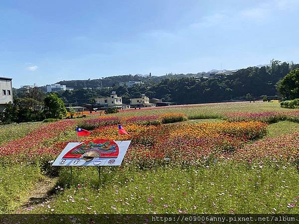 甜蜜CD家到桃園中庄調整池車泊.月眉花彩節  (41).jpg