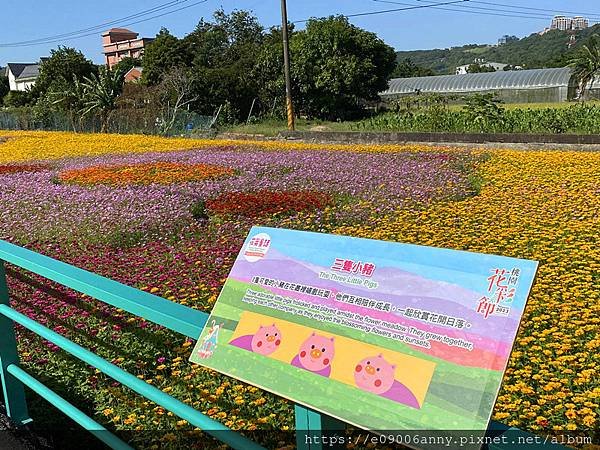 甜蜜CD家到桃園中庄調整池車泊.月眉花彩節  (45).jpg