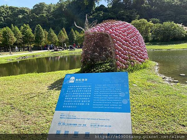 甜蜜CD家到桃園中庄調整池車泊.月眉花彩節  (51).jpg