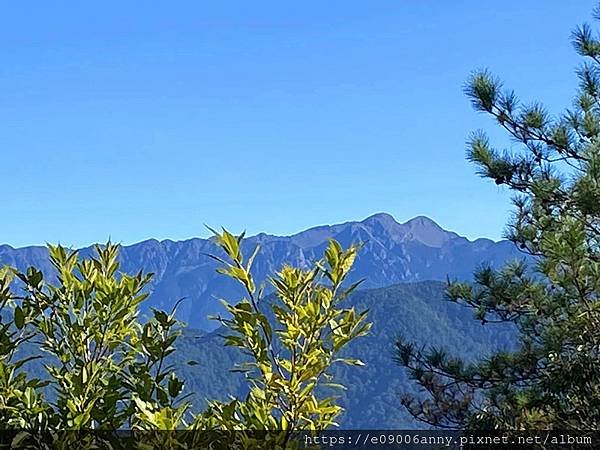 甜蜜CD家初到觀霧.走榛山步道112 (34).jpg