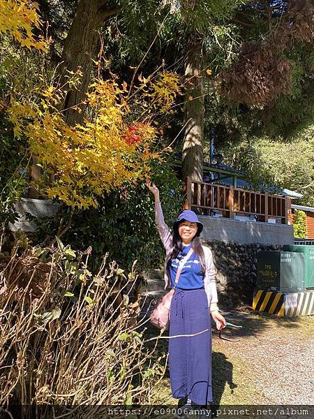甜蜜CD家初到觀霧.走榛山步道112 (37).jpg