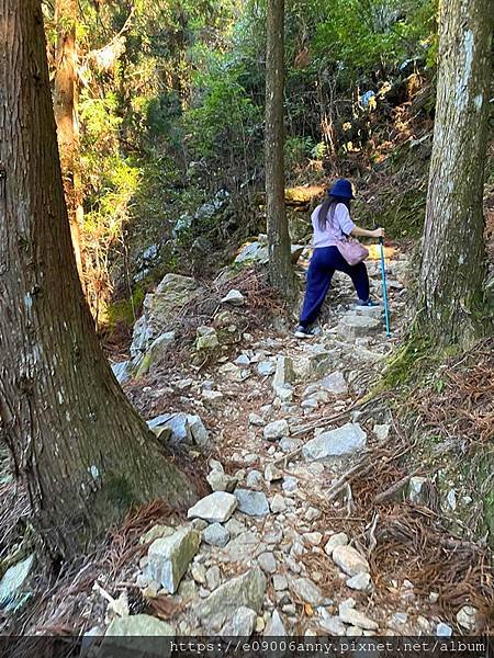 甜蜜CD家初到觀霧.走榛山步道112 (46).jpg