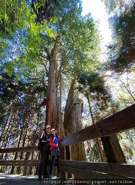 甜蜜CD家到觀霧國家公園(蜜月步道+檜山巨木)遊客中心.山椒魚112 (8).jpg