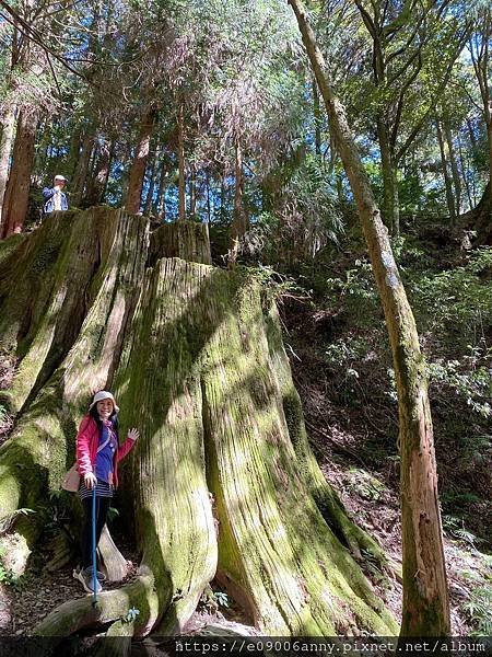 甜蜜CD家到觀霧國家公園(蜜月步道+檜山巨木)遊客中心.山椒魚112 (9).jpg