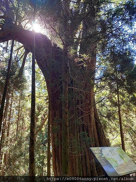 甜蜜CD家到觀霧國家公園(蜜月步道+檜山巨木)遊客中心.山椒魚112 (19).jpg