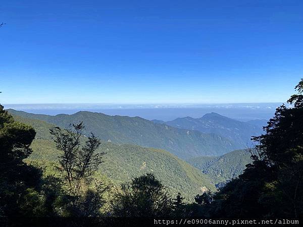 甜蜜CD家到觀霧國家公園(蜜月步道+檜山巨木)遊客中心.山椒魚112 (38).jpg