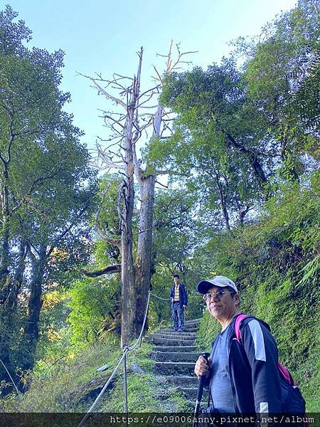 甜蜜CD家到觀霧國家公園(蜜月步道+檜山巨木)遊客中心.山椒魚112 (41).jpg