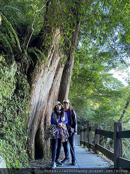 甜蜜CD家到觀霧國家公園(蜜月步道+檜山巨木)遊客中心.山椒魚112 (45).jpg