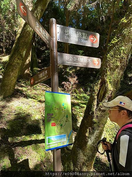 甜蜜CD家到觀霧國家公園(蜜月步道+檜山巨木)遊客中心.山椒魚112 (50).jpg