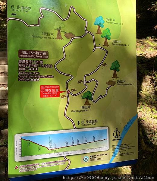 甜蜜CD家到觀霧國家公園(蜜月步道+檜山巨木)遊客中心.山椒魚112 (51).jpg